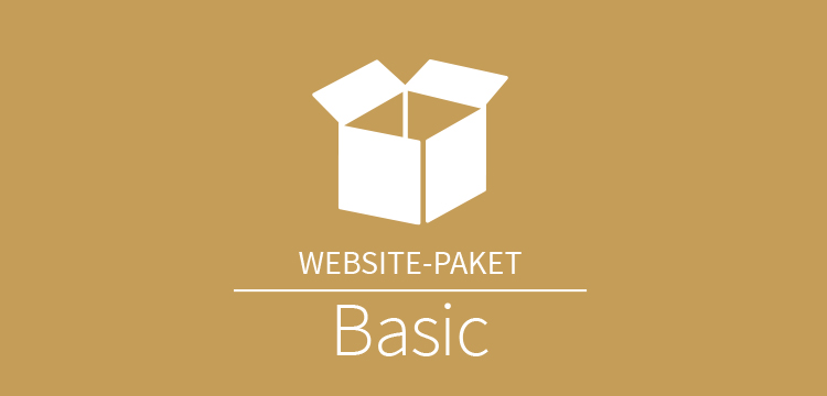 Website Paket Basic